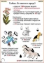 Комплект кодотранспарантов "Ядовитые растения" - fgospostavki.ru - Кубинка