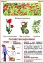 Комплект кодотранспарантов "Ядовитые растения" - fgospostavki.ru - Кубинка